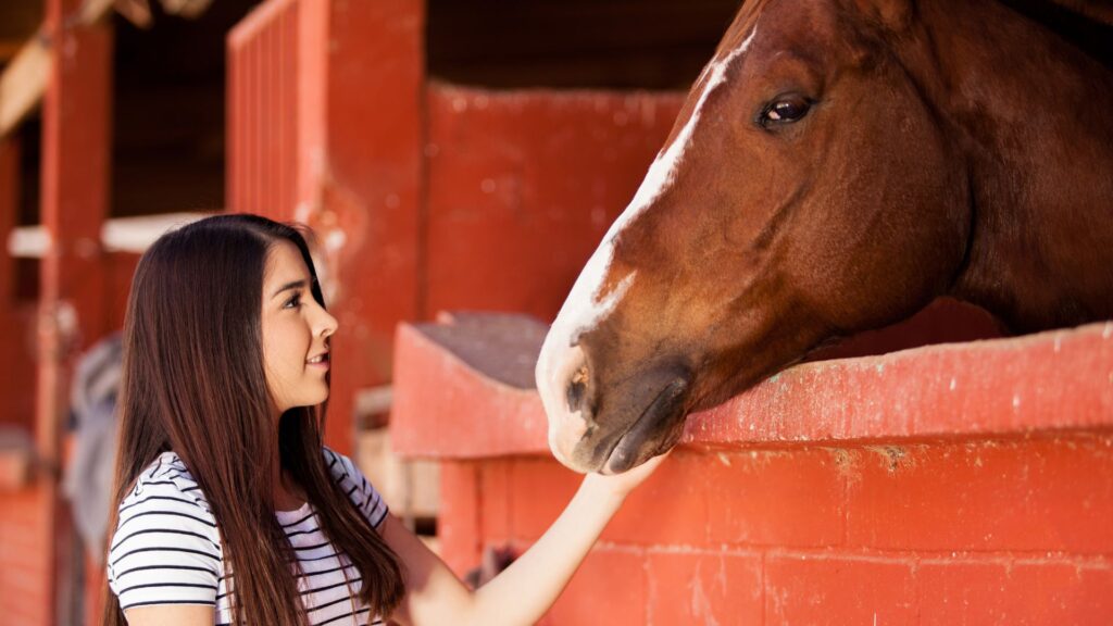 Equine therapy
