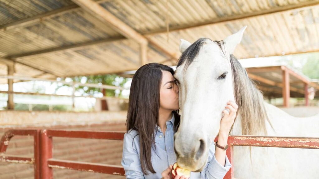 Horse